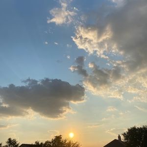 Meet your Posher, Piper